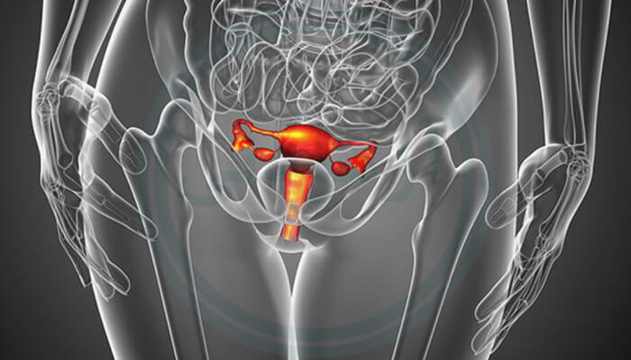 اندازه و عمق سایز واژن که به شکل شماتیک در بدن یک زن نمایش داده شده است