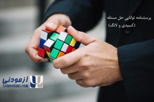 پرسشنامه توانایی حل مسئله (کسیدی و لانگ). مردی در حال حل مکعب روبیک. به همراه آرم سایت آزمودنی و نام پرسشنامه.