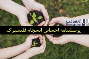 احساس انسجام فلنسبرگ