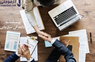 پرسشنامه بالندگی سازمانی. لوگوی سایت آزمودنی و نام پرسشنامه بر روی تصویر درج شده است.