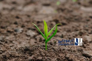 پرسشنامه امید به زندگی میلر