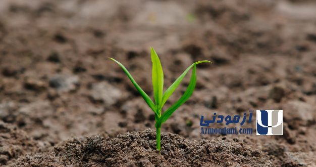 پرسشنامه امید به زندگی میلر